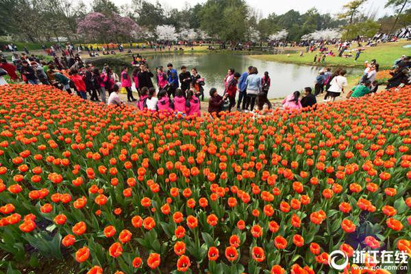 “赌徒”暴风影音：处在暴风雨中，难遇晴天_CN2服务器建站