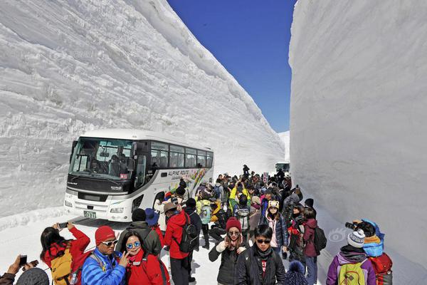 清晨熊出没！“黑瞎子”闯进竹山居民家，被关进鸡笼当宠物