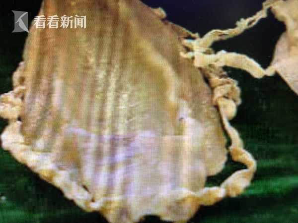 .SHOP是国际域名么_大连云服务器