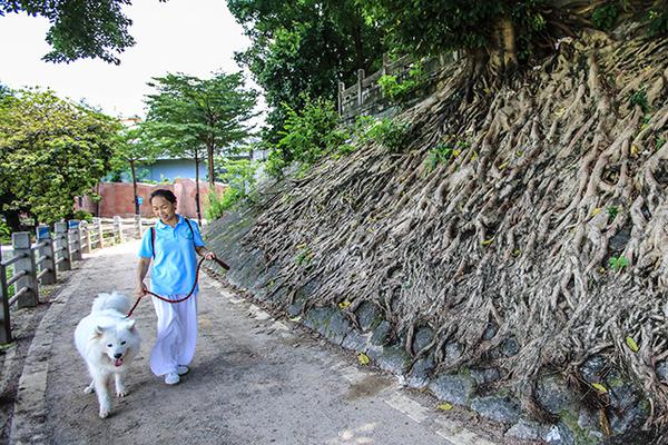 健身达人必备：运动损伤恢复神器，你的私人按摩师_云电脑永久免费
