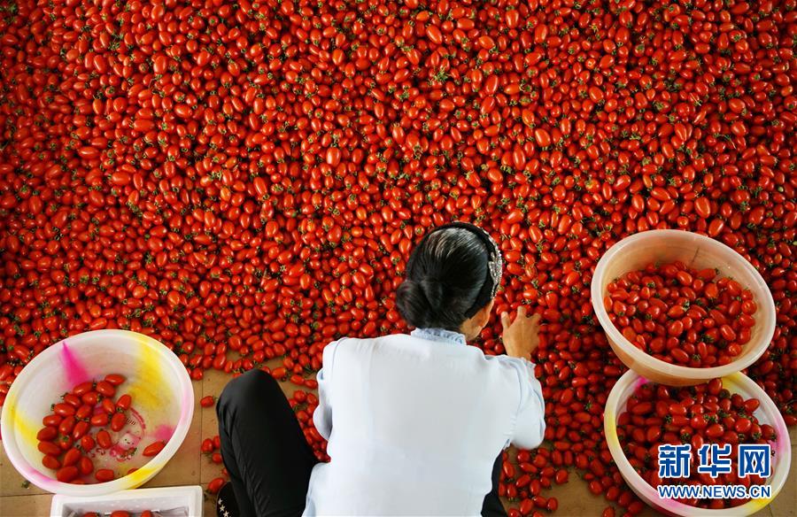 董其昌 何以影响三百年的中国书画史?_在线教育