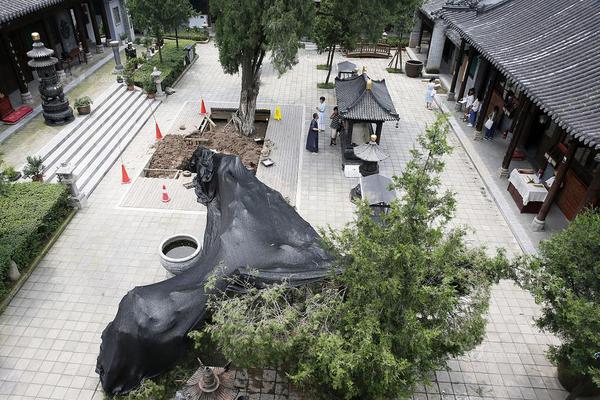 了不起的“中国造”,比Q7还霸气,续航1000KM,或40万_挂机宝指纹浏览器