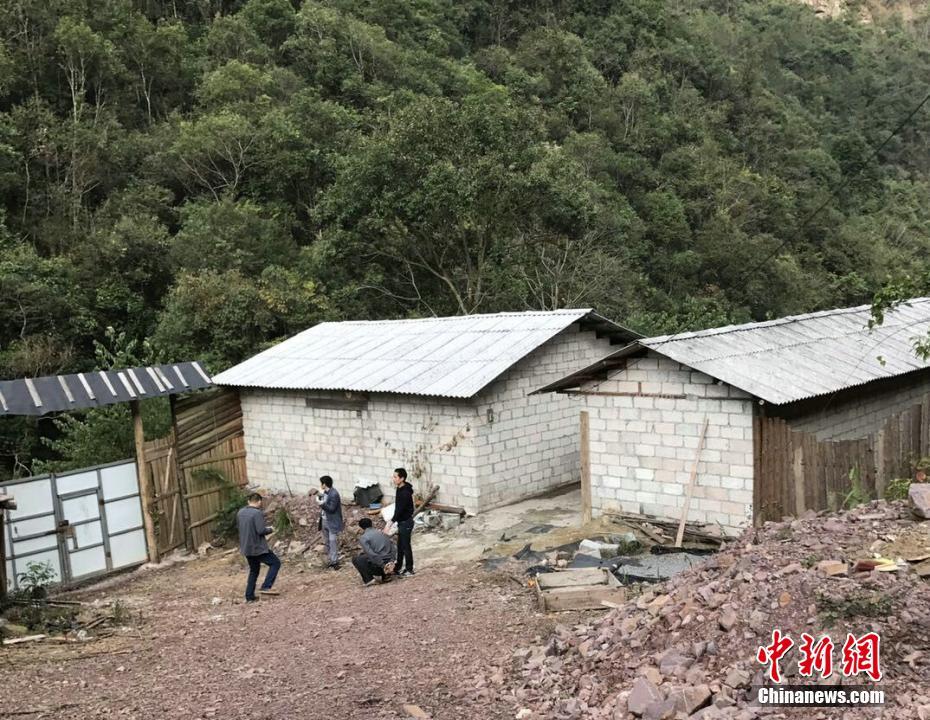 [征集]春色满园 美景常在