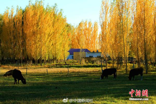 前11个月国企利润同比增长15.6%_企业官网服务器