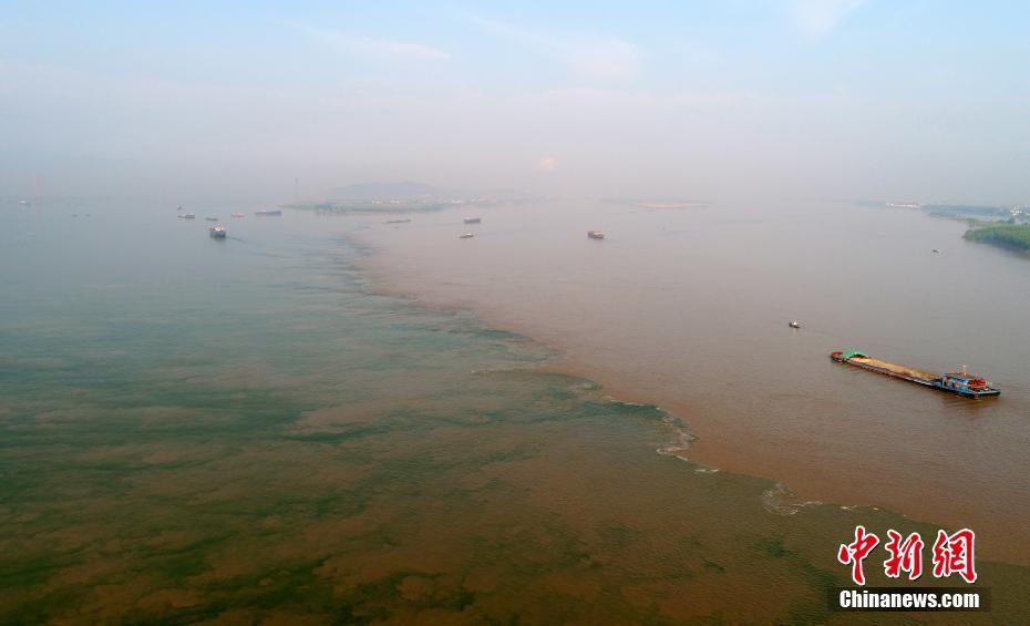 一季度中国经济超预期的“底气”在哪？（图）_挂机宝自动任务