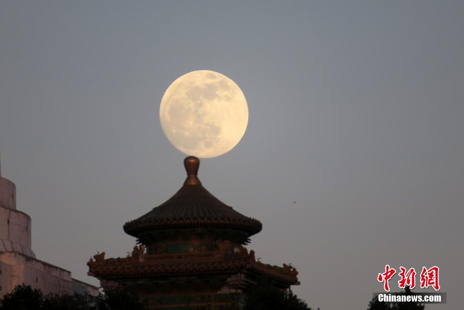 杜少首轮出尽风头库里啥感受？ 萌神拒跟队友争风吃醋_挂机宝YY挂机