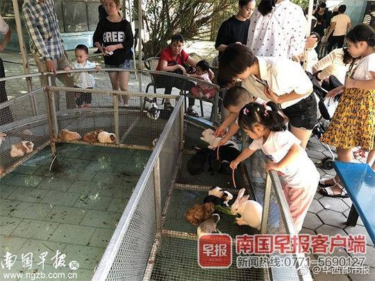 熬夜不仅让人头秃 还会使心脏停跳！_便宜9929云服务器