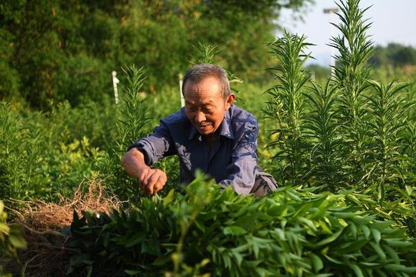 切尔诺贝利核辐射33年后，“死城”危机仍未解除_挂机宝挖矿