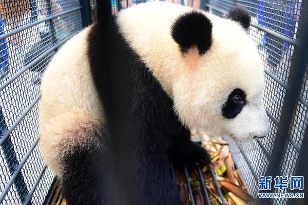 曼联丢掉争四的希望 德赫亚没资格要高薪