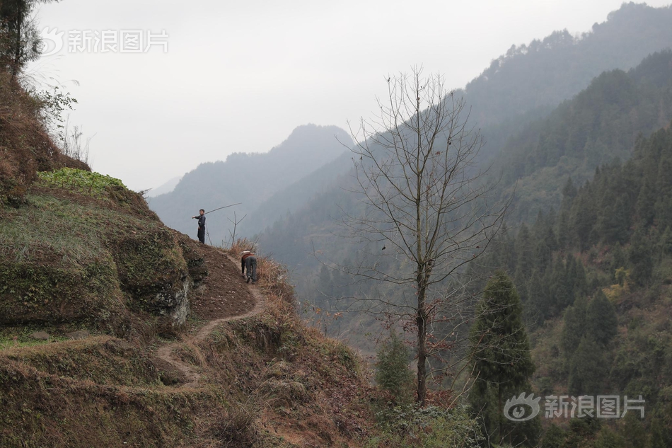 影帝王景春怒斥《复联》排片，中国电影能靠排片拯救吗？_挂机宝山东