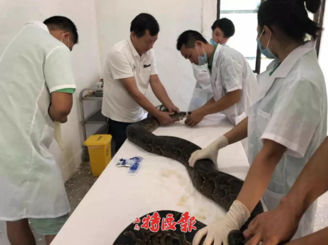 教育局副局长怼群众“听不懂话” 官方:责令道歉_挂机宝性能