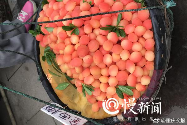 为#爱加餐# 为了中国孩子!_挂机宝机器人