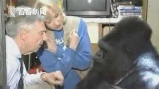 习近平绿色箴言妙喻美丽中国