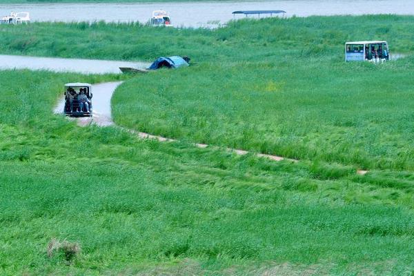 团贷网案通报:冻结54亿元 扣押2架飞机和50套房产_阿里云99计划