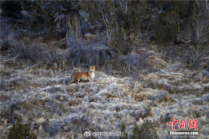 陕西省委原常委被双开:一再拒绝党组织挽救