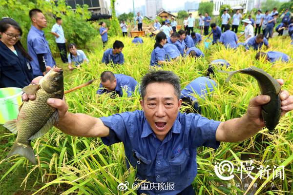山西尧都农商银行员工侵占案：私自销售理财挥霍一空 银行最后买单_云服务器自动伸缩