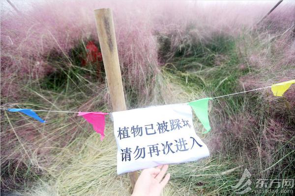 VR帮助人们记录历史地标_视频剪辑云电脑