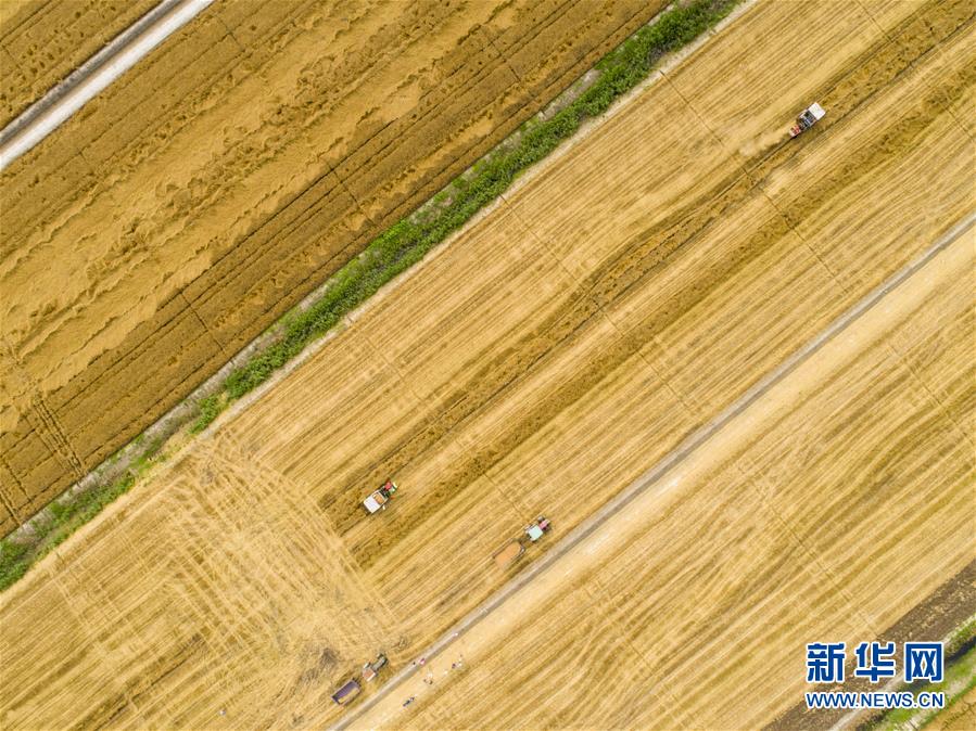 看似来势汹汹实则中规中矩 全新一汽丰田RAV4前景分析