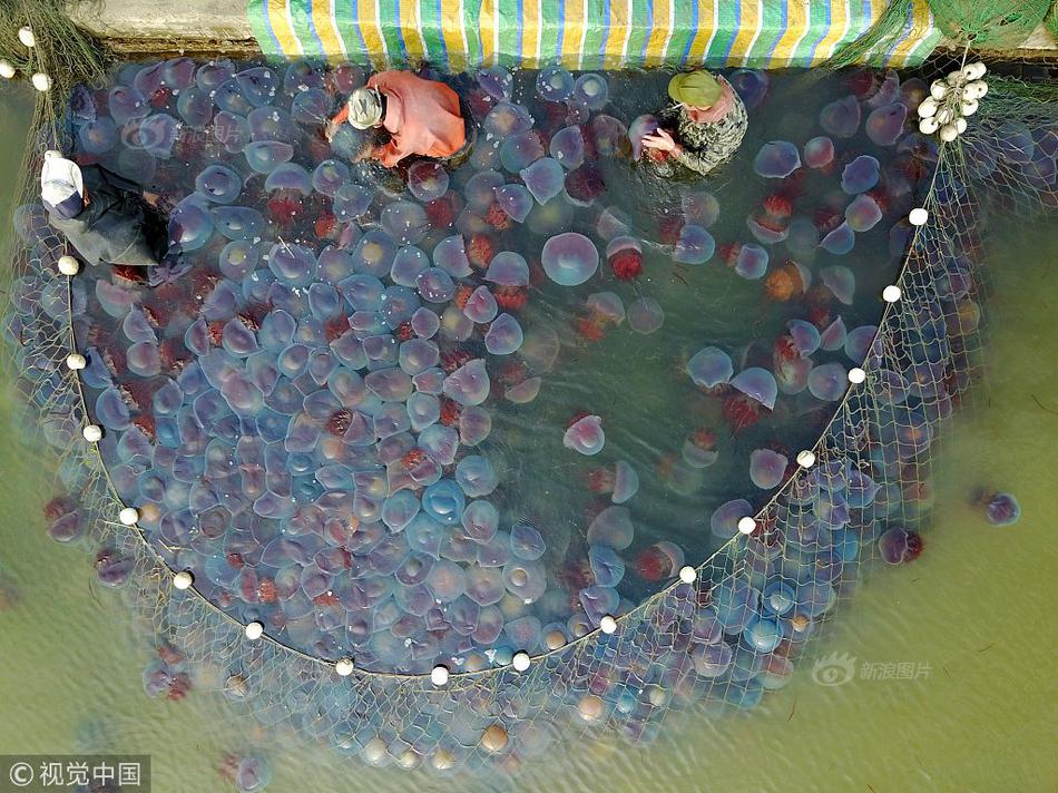 家有老人的进来看 关乎你钱包的北京新利好！_挂机宝独立显卡