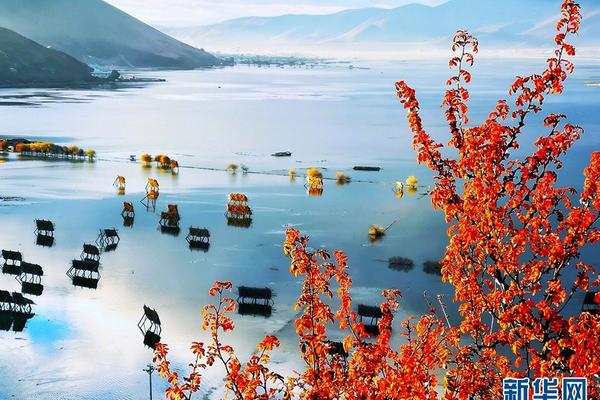 古代女性为了追时尚蛮拼的_9929测试IP