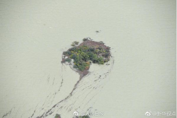 离开故宫21天后的单霁翔