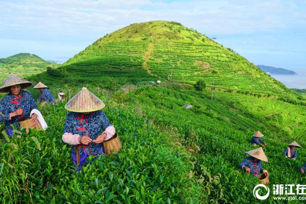 国内驾考太难？此国家考驾照居然要学漂移 简直没法比