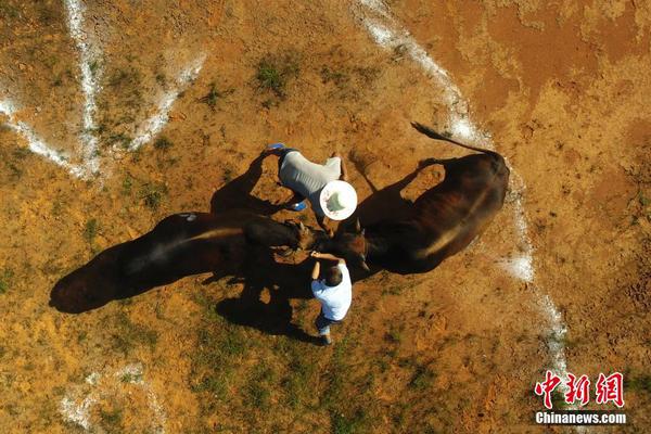 .XYZ域名_挂机宝挂QQ