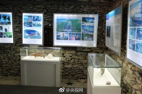 纸上谈兵|不止争议哨!火箭跟勇士都在拆解对手_云服务器4核8G