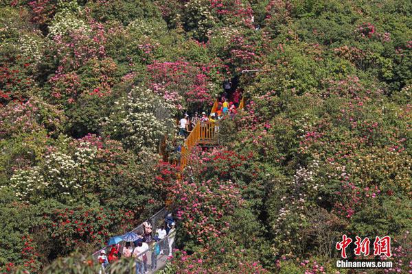 韩快递员年收入40万人民币，连韩国人都看呆了_云电脑取代PC