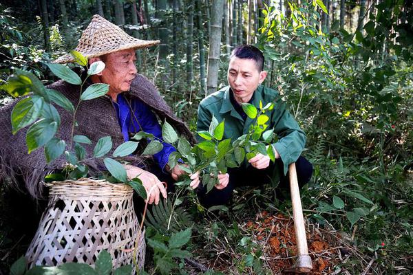 博尔顿回应朝鲜开200万美元账单：美国承诺了，但没付一分钱_CN2视频服务器