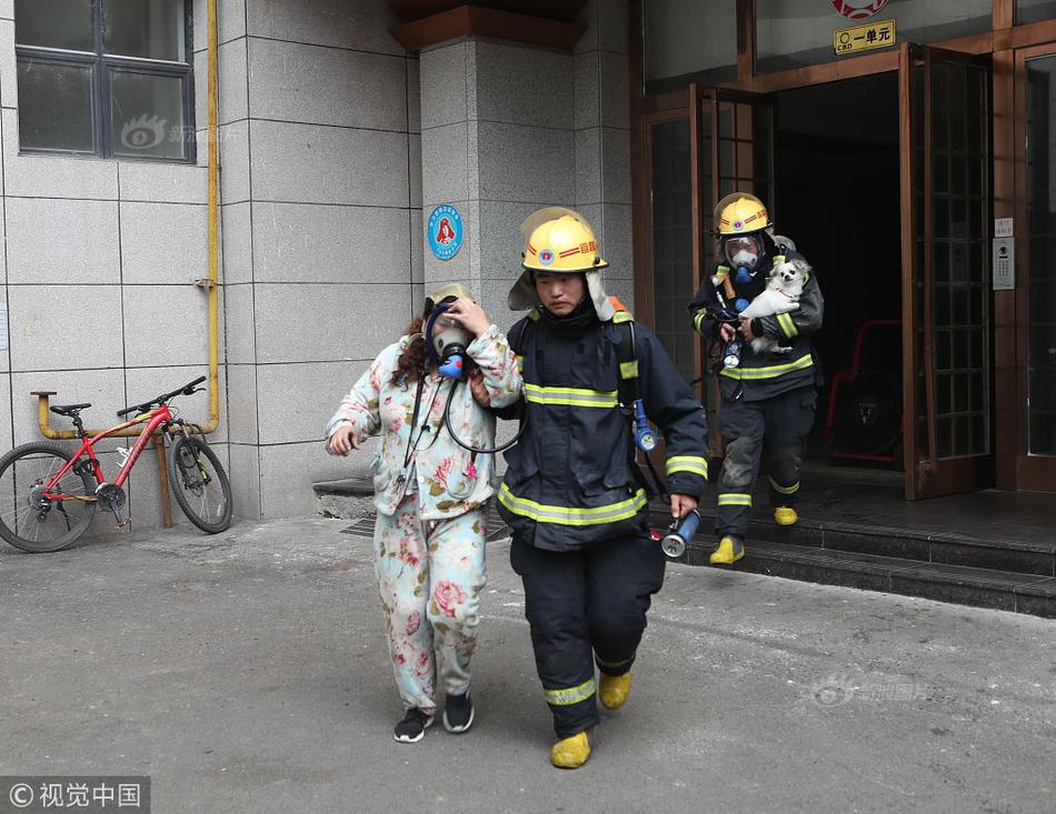 大象装上假肢，开心的像个几十吨孩子_云电脑多会话