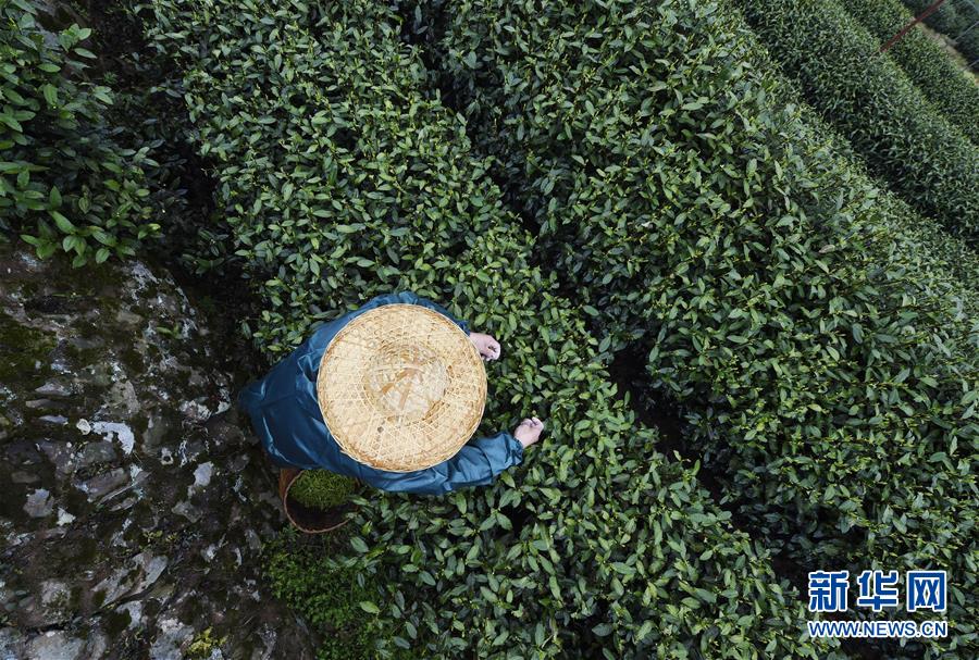 新一代宝马3系:我打我自己_CN2服务器特价