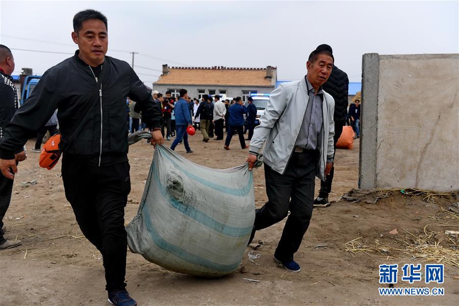 宠物摄影师为流浪狗拍写真