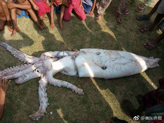 章子怡带醒宝逛游乐园 理由竟然是这个?_云手机