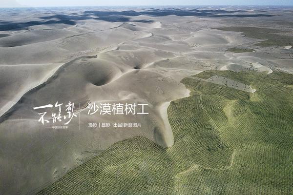 一季度亏损1.77亿元 乐视网暂停上市或成定局_9929跨境必备