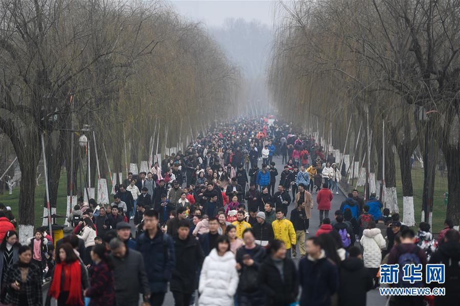 近300股跌停!沪指跌0.77%,创业板指暴跌2.55%_挂机宝Telegram机器人