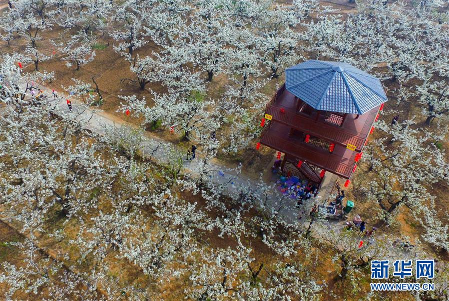 2024双11云主机哪里买更划算_挂机宝游戏加速