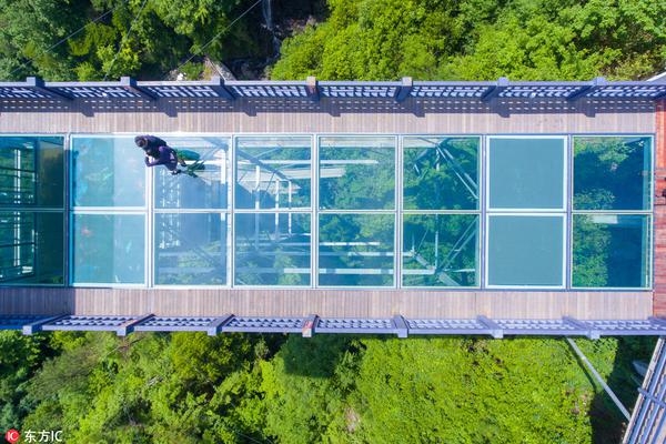 成都海关截获价值上千万濒危鱼鱼鳔_香港CN2线路