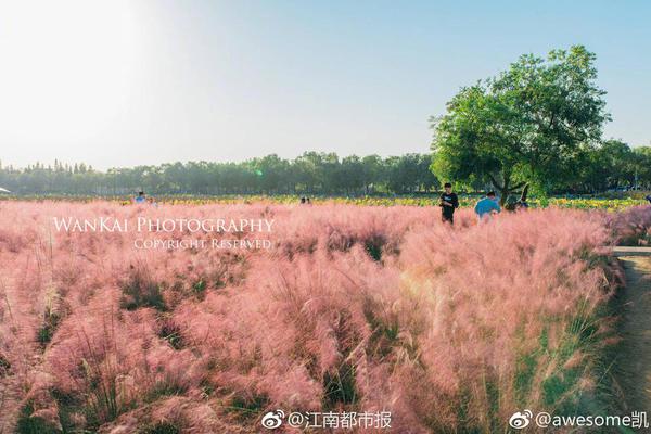 [专访]李强：POYi获奖摄影师