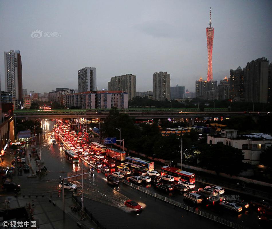 金毛直立行走爬楼梯引争议 网友：主人太无知_云游戏