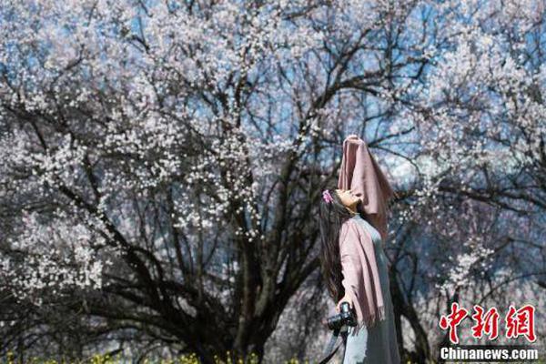 两部门:低保、特困人员个人缴费部分可由政府补助
