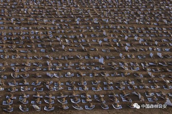 “五一”小长假怎么过？收下这份玩乐指南_高性能云服务器