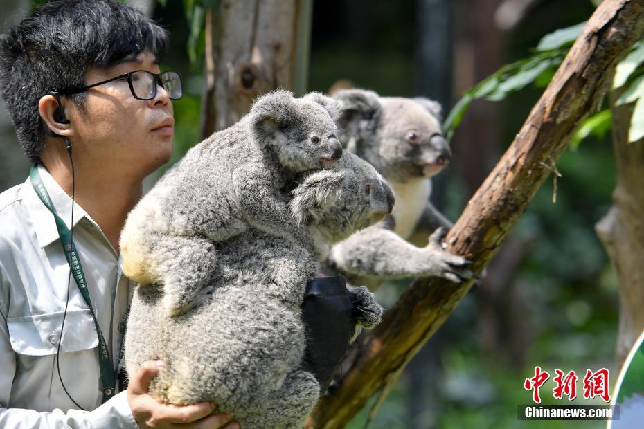 新价值投资掌门人罗伟广麻烦多_9929数据备份