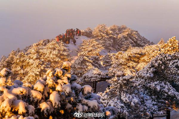 《妻子2》包文婧因为一件衣服，整季节目树立的口碑全毁了_CN2云主机