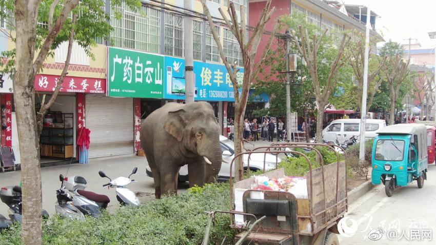 国六怪象:想买买不到不想买狂降_云服务器新用户优惠