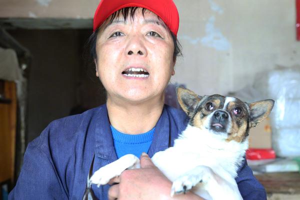 新浪彩通解读国内外彩票行业内幕_稳定挂机宝