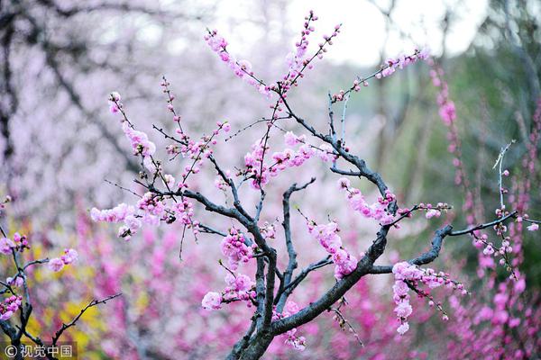 湖北仙桃：天下第一蒸笼“蒸霸”开笼 一次可蒸3000碗美食_9929在线教育