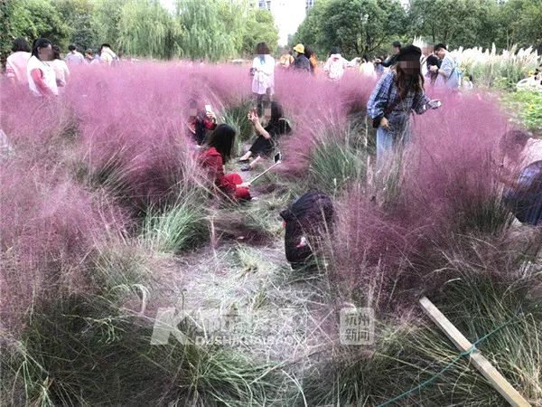 国民初恋颜？她这是要复制沈月的走红奇迹了？_云模拟器