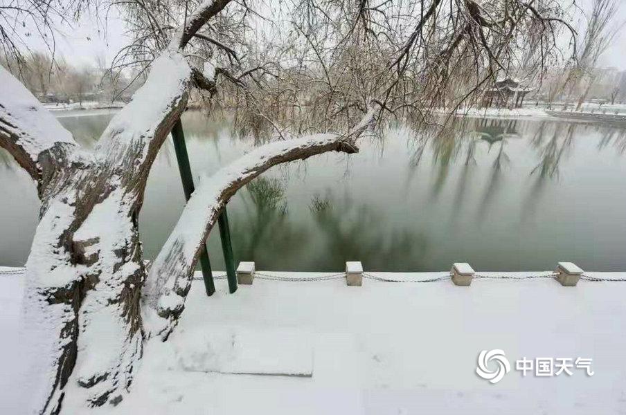 专家教你高考怎么报志愿_9929速度测试