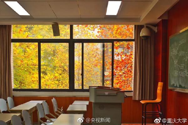 湖南常德大学生杀害滴滴司机续：被诊断患抑郁症_挂机宝高防